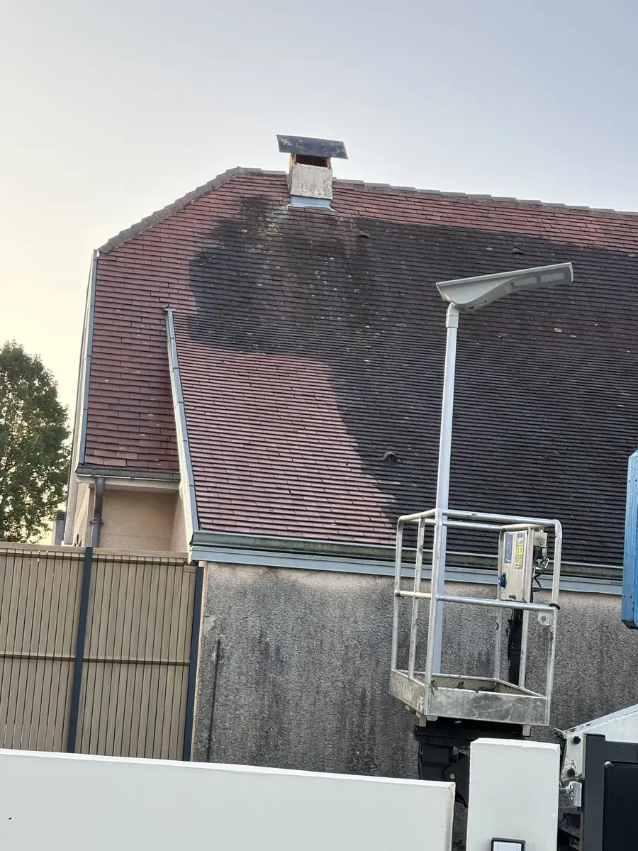 Démoussage et hydrofuge de toiture à Pau